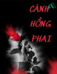 Cánh Hồng Phai